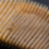 Close-up of a lice comb with fine teeth