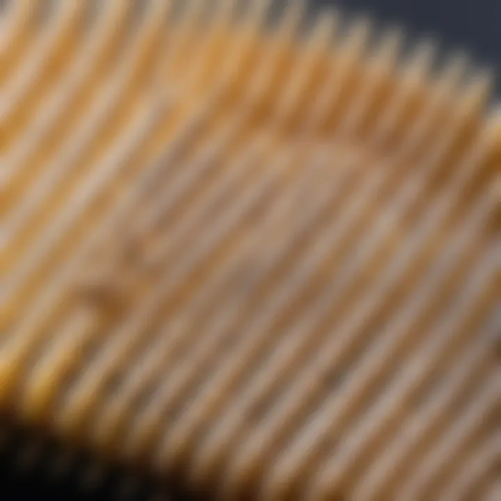 Close-up of a lice comb with fine teeth