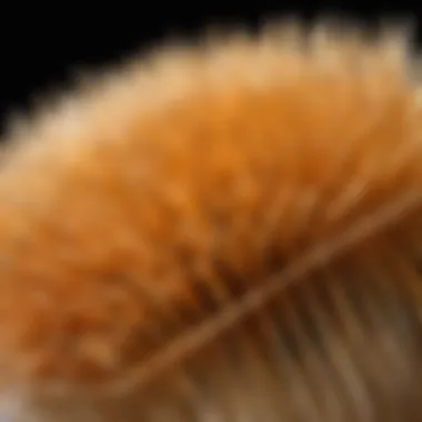 Close-up of brush bristles showing quality and texture