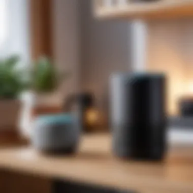 The Smart Speaker Marusya Enhancing Home Life Smart speaker Marusya in a cozy home setting