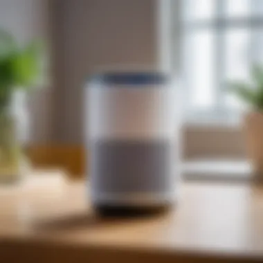 Smart speaker showcasing Yandex Alice